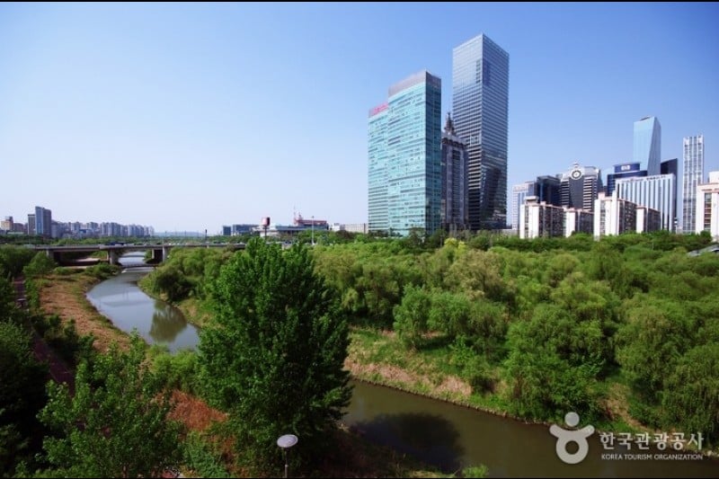 Yeouido Saetgang Ecological Park (여의도샛강생태공원) (1/12)