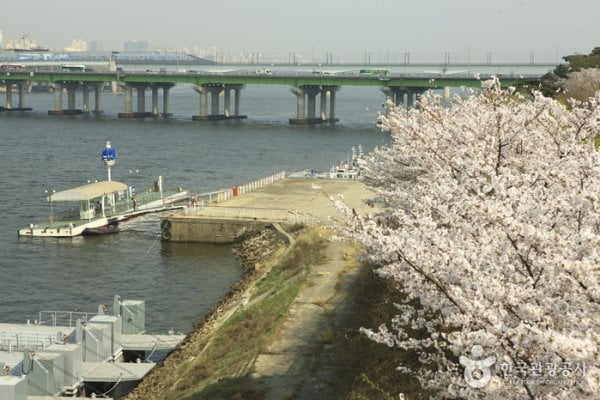 Mangwon Riverside Terrace