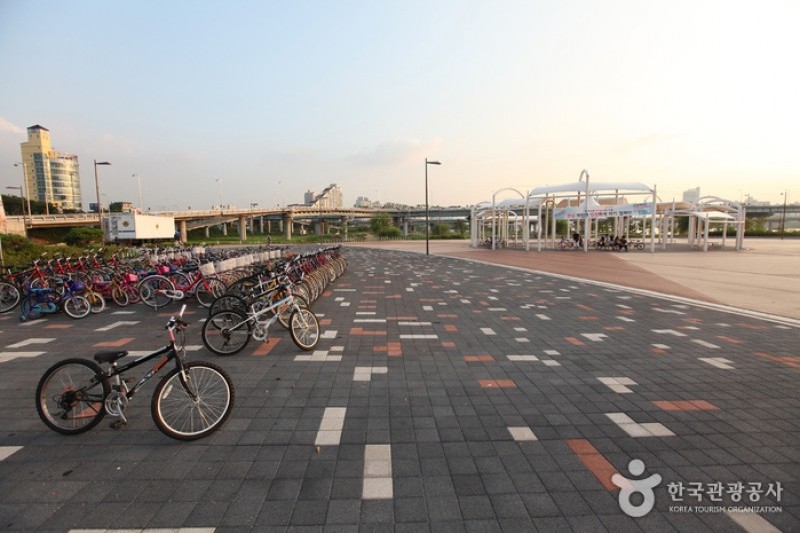 Gwangnaru Hangang Park  (1/6)
