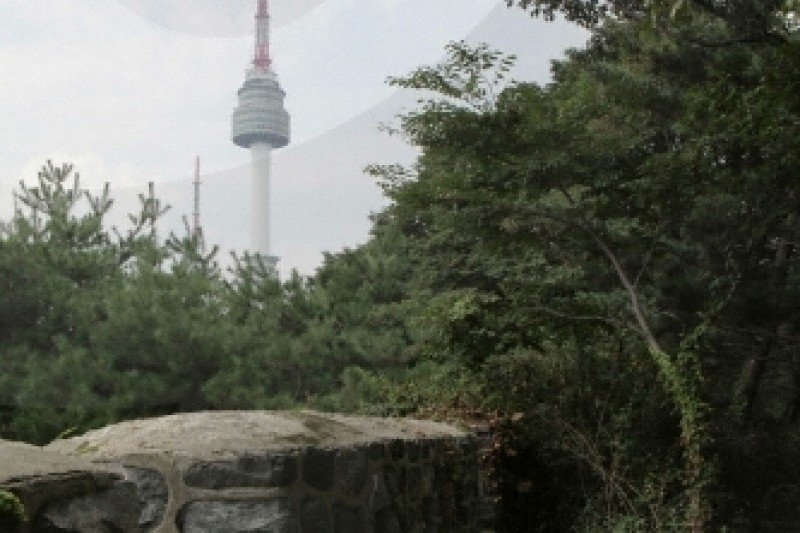Million People Walking Festival of Namsan  (1/9)