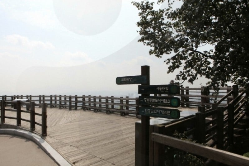 Million People Walking Festival of Namsan  (3/9)