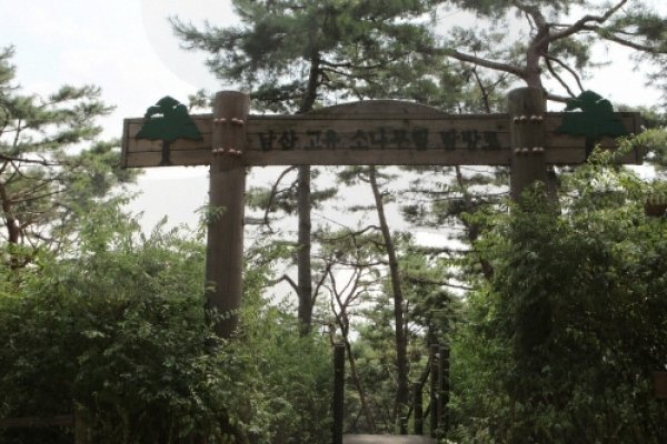 Million People Walking Festival of Namsan