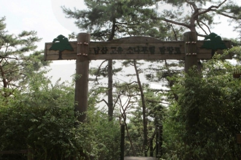 Million People Walking Festival of Namsan  (4/9)