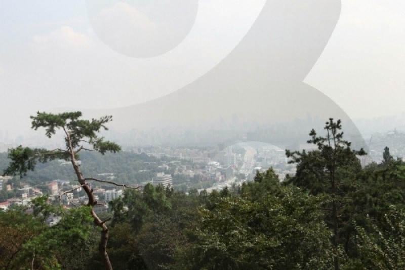 Million People Walking Festival of Namsan  (5/9)