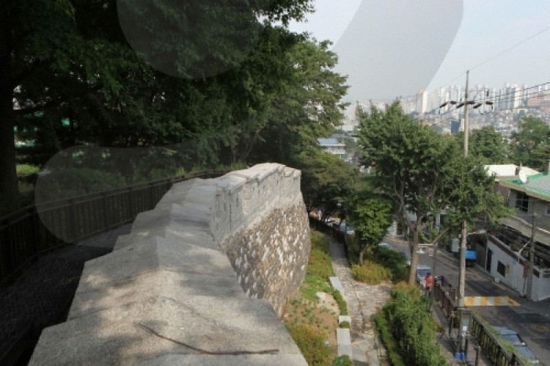 Million People Walking Festival of Namsan  (8/9)