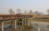Gangseo Marsh Ecological Park 
