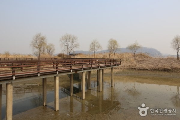 Gangseo Marsh Ecological Park