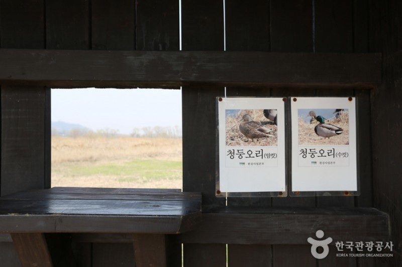 Gangseo Marsh Ecological Park  (2/9)
