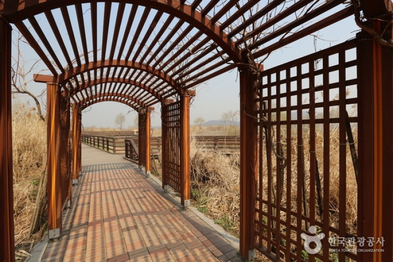 Gangseo Marsh Ecological Park  (4/9)