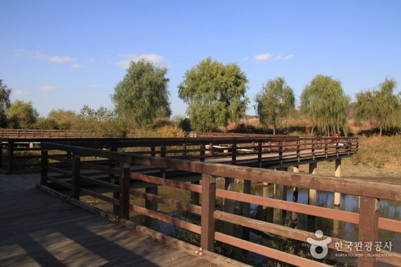 Gangseo Marsh Ecological Park  (5/9)