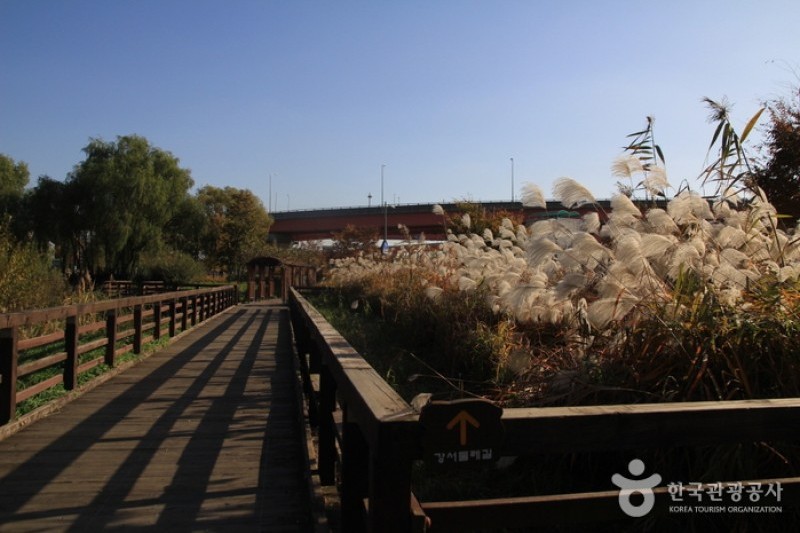 Gangseo Marsh Ecological Park  (6/9)