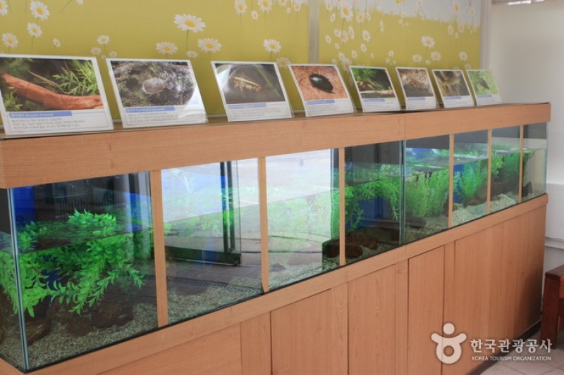 Seoul Science Park  (4/13)