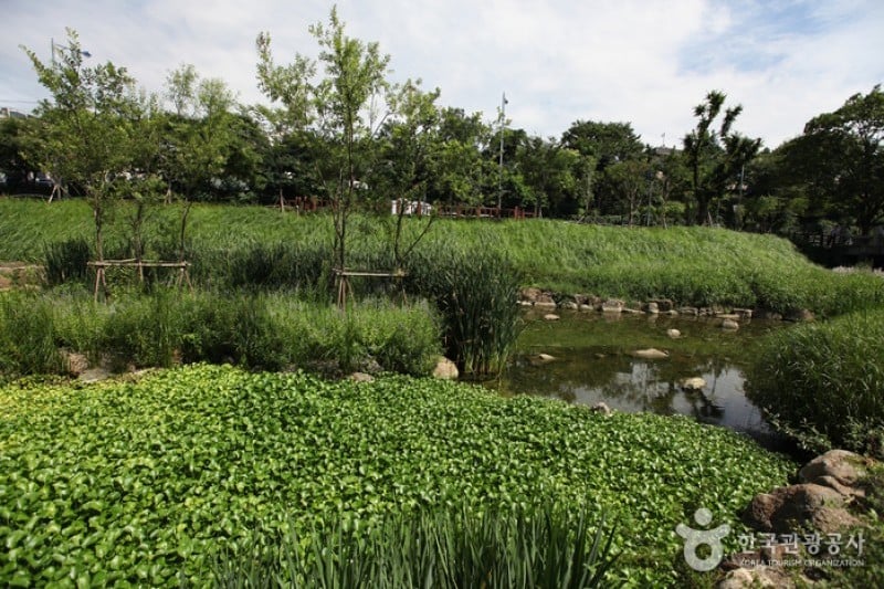 Jangchungdan Park  (4/13)