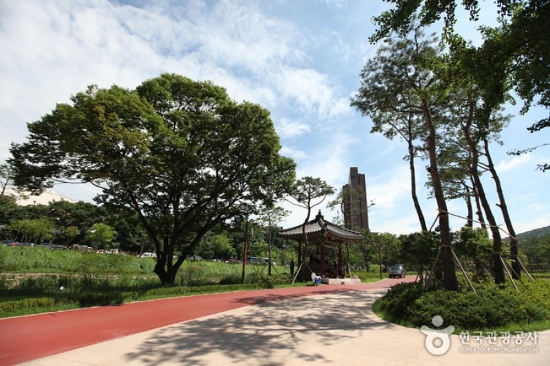 Jangchungdan Park  (6/13)