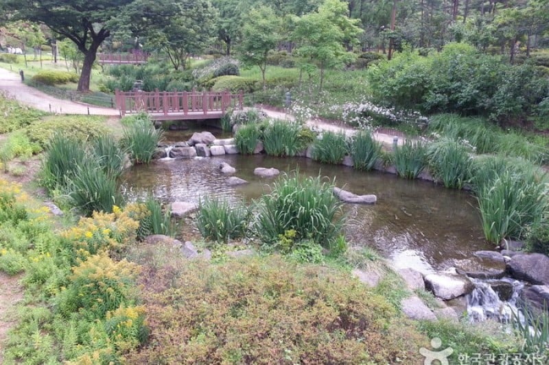 Jangchungdan Park  (8/13)