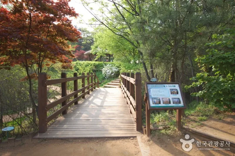 Achasan Mountain Ecological Park  (4/7)