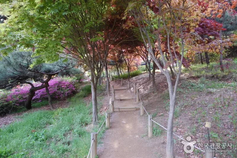 Achasan Mountain Ecological Park  (5/7)