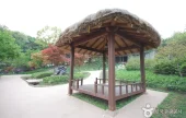 Achasan Mountain Ecological Park 