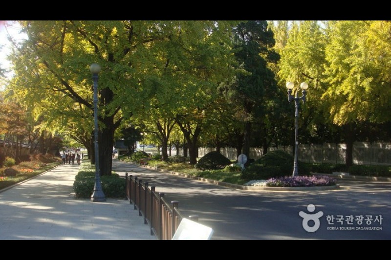 The Street in front of the Cheongwadae  (1/13)