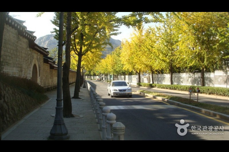 The Street in front of the Cheongwadae  (3/13)