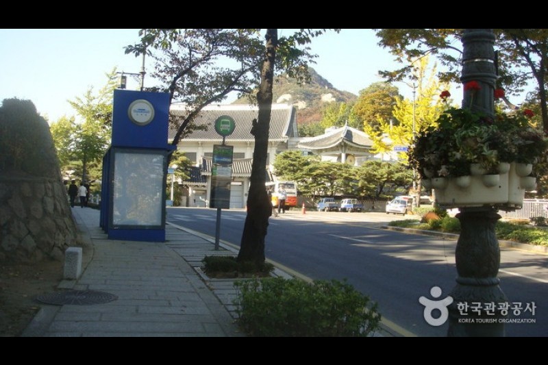 The Street in front of the Cheongwadae  (4/13)