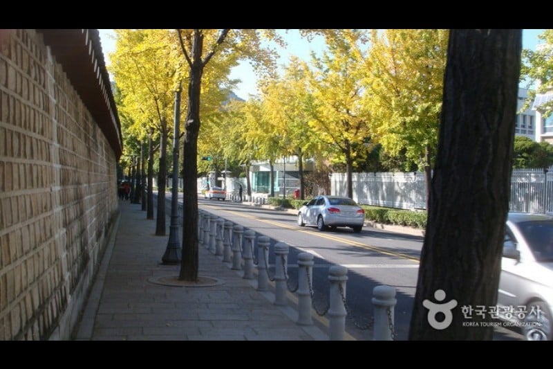 The Street in front of the Cheongwadae  (5/13)