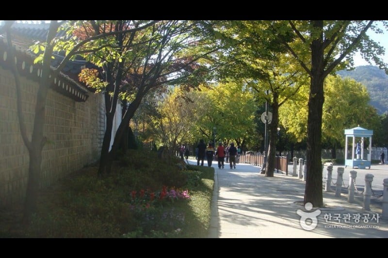 The Street in front of the Cheongwadae  (7/13)