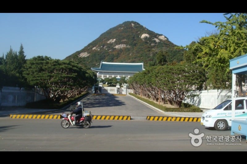 The Street in front of the Cheongwadae  (8/13)