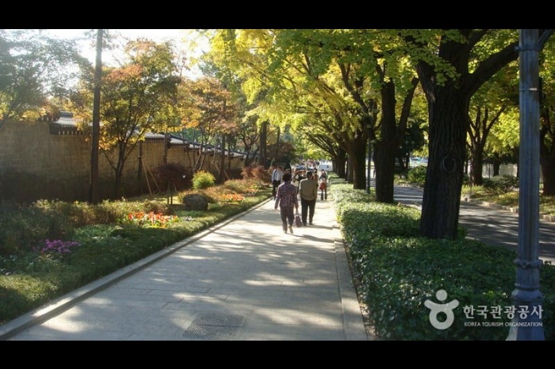 The Street in front of the Cheongwadae  (9/13)