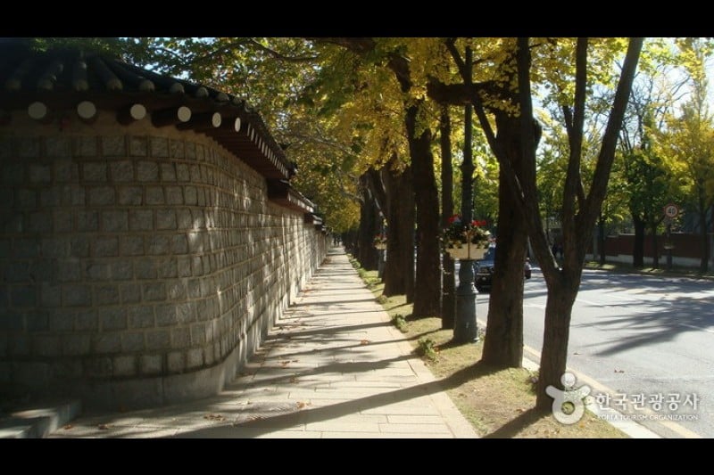 The Street in front of the Cheongwadae  (12/13)