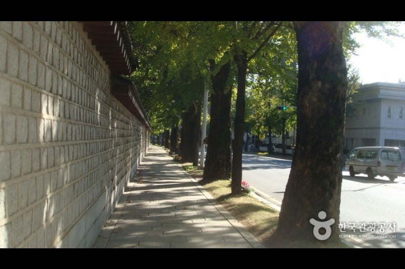 The Street in front of the Cheongwadae  (13/13)