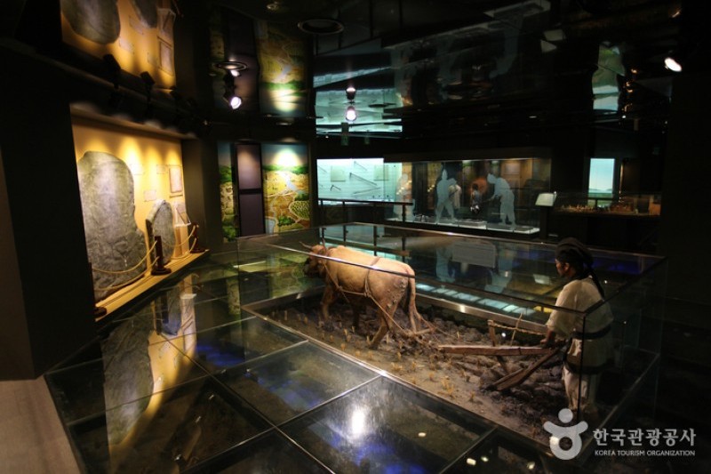 Agricultural Museum (농업박물관) (2/6)
