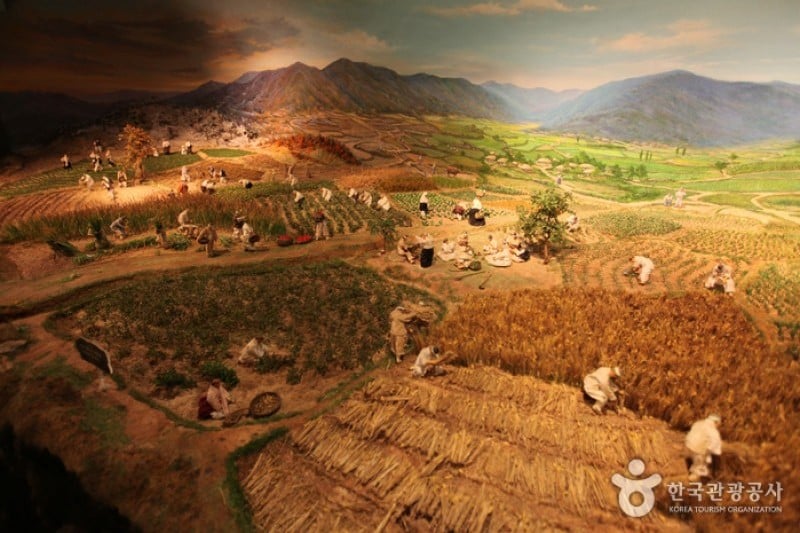 Agricultural Museum (농업박물관) (6/6)
