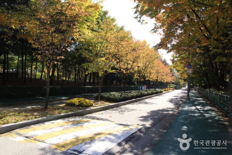 Bonghwasan Mountain (Seoul) (봉화산 (서울)) (1/5)