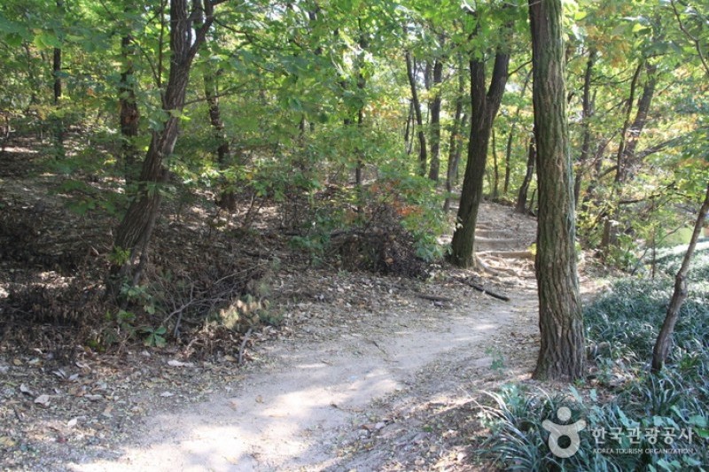 Bonghwasan Mountain (Seoul) (봉화산 (서울)) (4/5)