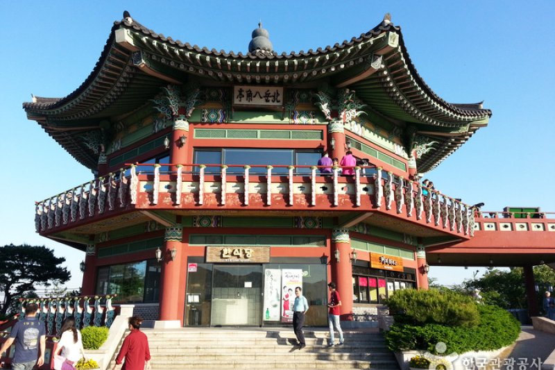 Bugak Skyway Palgakjeong Pavilion (북악스카이 팔각정) (1/13)