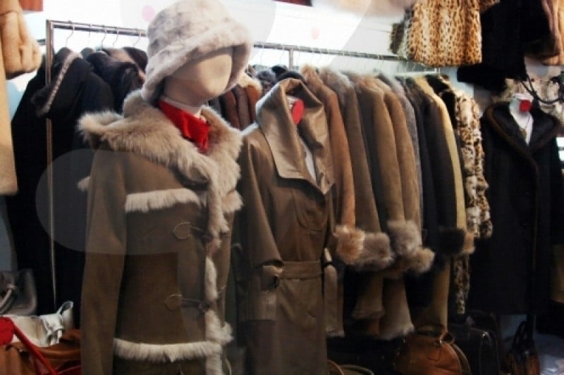 Ferrara Korea  (4/8)