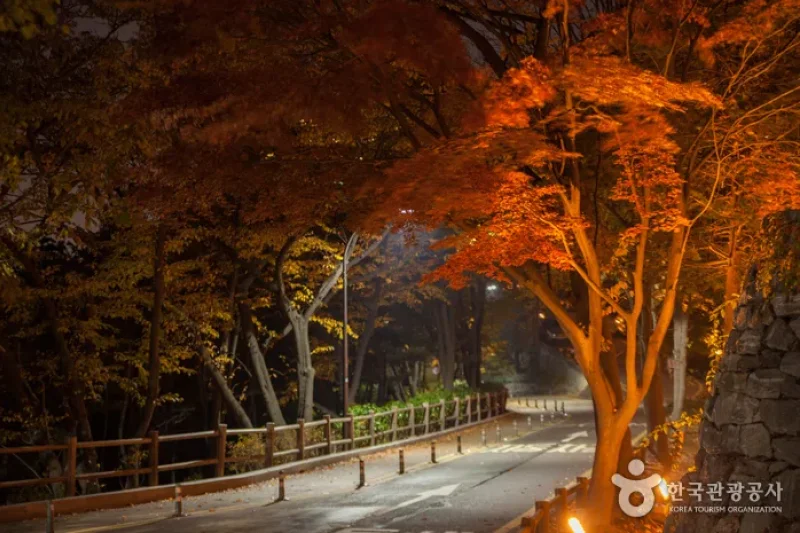 Myeong-dong, Namdaemun and Bukchang Special Tourist Zone  (1/11)