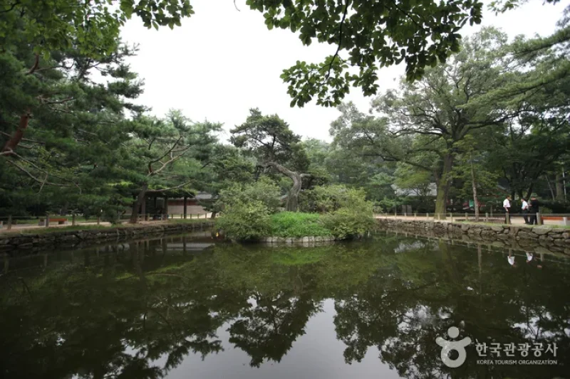 Jongno Cheonggye Special Tourist Zone  (2/14)