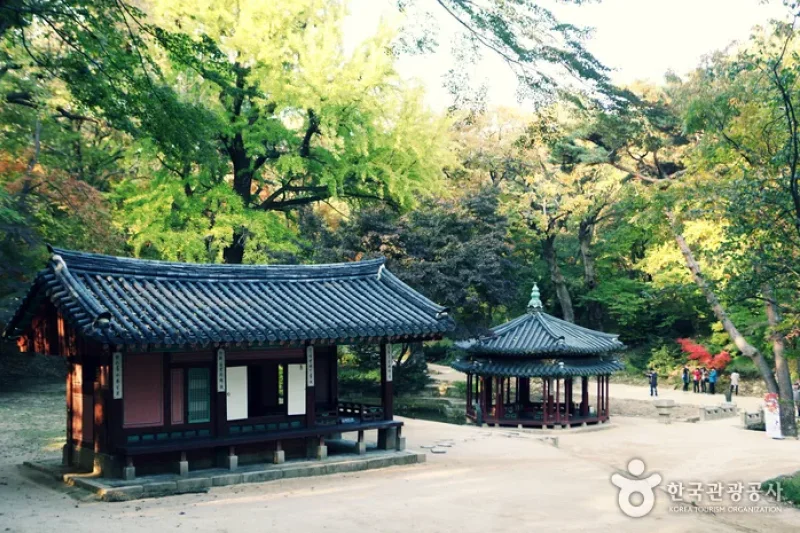 Jongno Cheonggye Special Tourist Zone  (5/14)