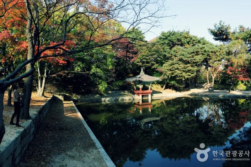 Jongno Cheonggye Special Tourist Zone  (6/14)