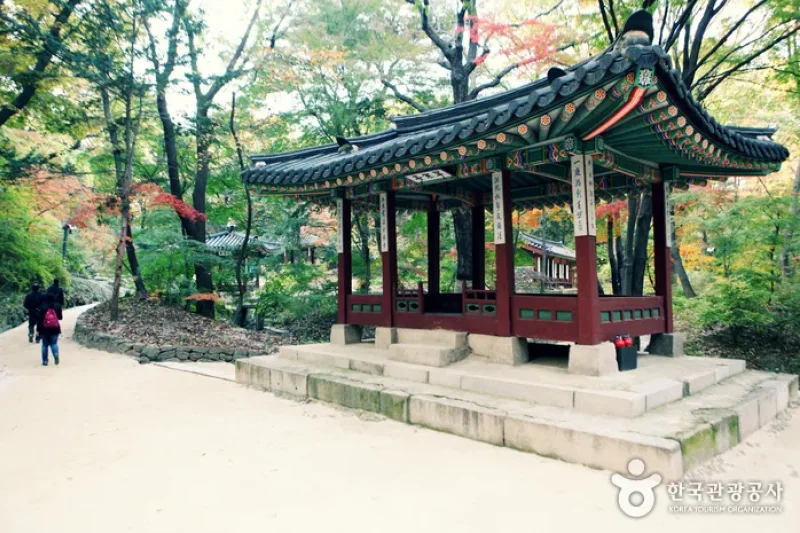 Jongno Cheonggye Special Tourist Zone  (7/14)
