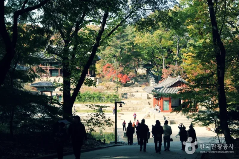 Jongno Cheonggye Special Tourist Zone  (8/14)