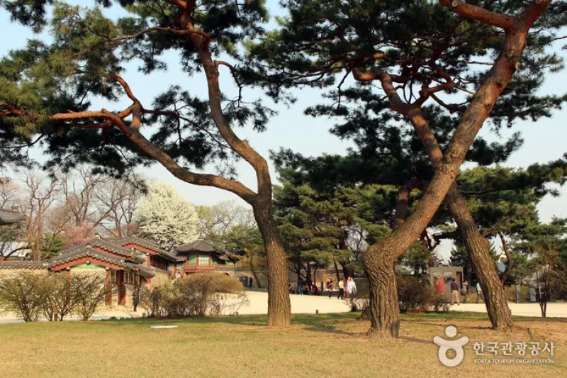 Jongno Cheonggye Special Tourist Zone  (9/14)