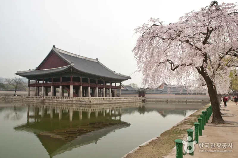 Jongno Cheonggye Special Tourist Zone  (10/14)