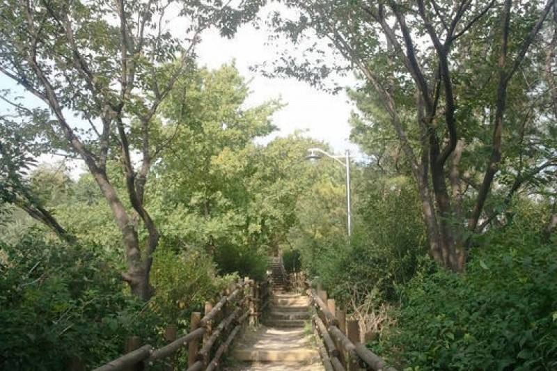 Eungbongsan Mountain  (12/20)