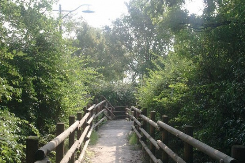 Eungbongsan Mountain  (13/20)