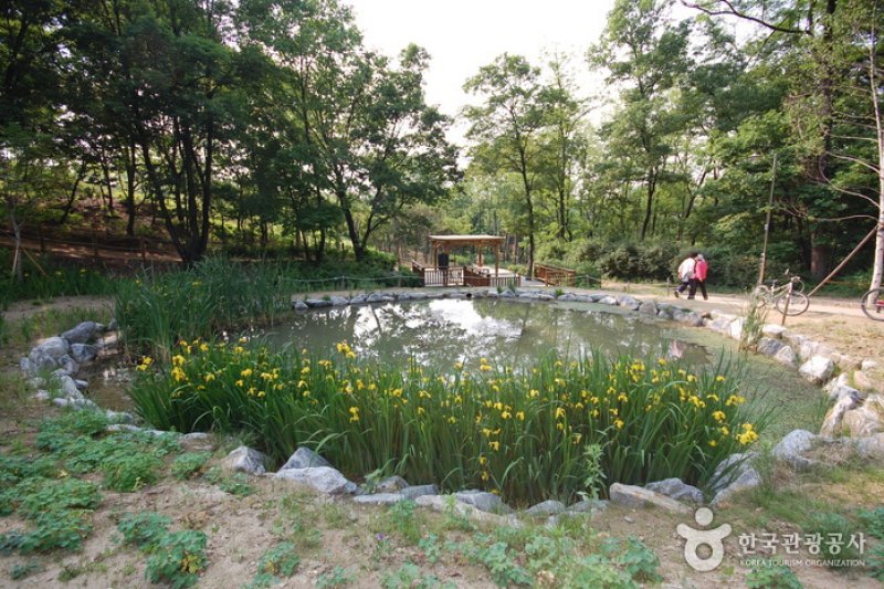 Gwanaksan Mountain Ecological Park (관악산 생태공원) (1/6)