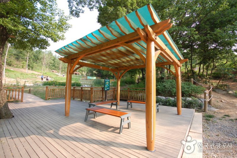 Gwanaksan Mountain Ecological Park (관악산 생태공원) (2/6)