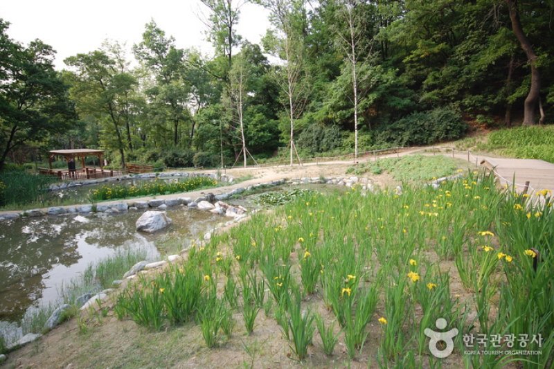 Gwanaksan Mountain Ecological Park (관악산 생태공원) (5/6)